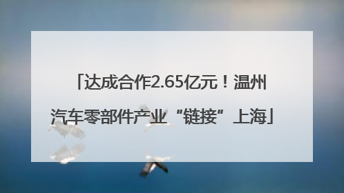 达成合作2.65亿元！温州汽车零部件产业“链接”上海