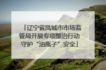辽宁省凤城市市场监管局开展专项整治行动守护“油瓶子”安全