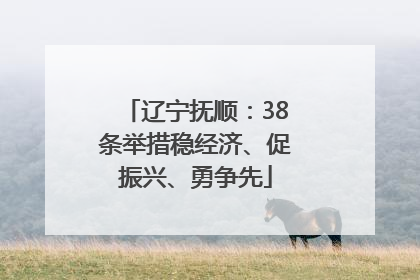 辽宁抚顺：38条举措稳经济、促振兴、勇争先
