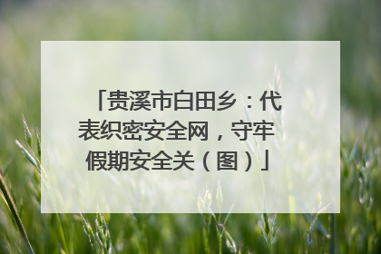 贵溪市白田乡：代表织密安全网，守牢假期安全关（图）
