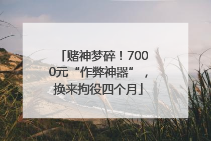 赌神梦碎！7000元“作弊神器”，换来拘役四个月