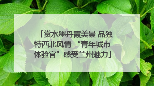 赏水墨丹霞美景 品独特西北风情 “青年城市体验官”感受兰州魅力