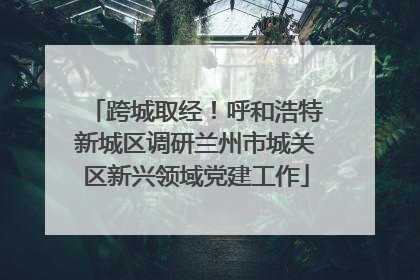跨城取经！呼和浩特新城区调研兰州市城关区新兴领域党建工作