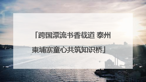 跨国漂流书香载道 泰州柬埔寨童心共筑知识桥