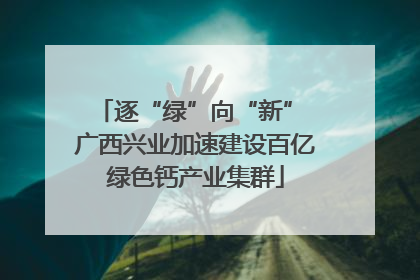 逐“绿”向“新” 广西兴业加速建设百亿绿色钙产业集群