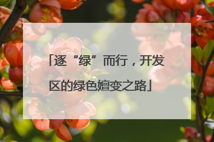 逐“绿”而行，开发区的绿色嬗变之路