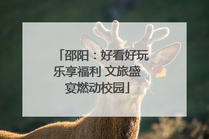 邵阳：好看好玩乐享福利 文旅盛宴燃动校园