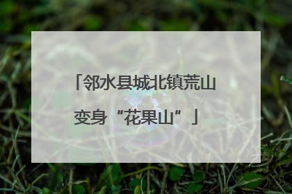 邻水县城北镇荒山变身“花果山”