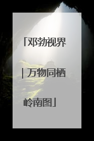 邓勃视界｜万物同栖岭南图