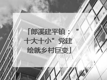 郎溪建平镇：“十大十小”党建 绘就乡村巨变