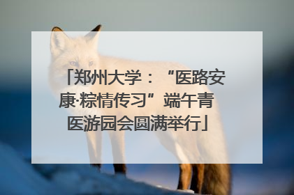郑州大学：“医路安康·粽情传习”端午青医游园会圆满举行