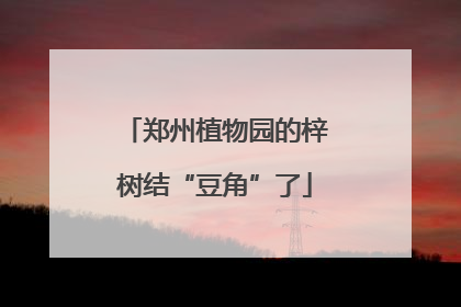郑州植物园的梓树结“豆角”了