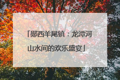 郧西羊尾镇：龙潭河山水间的欢乐盛宴