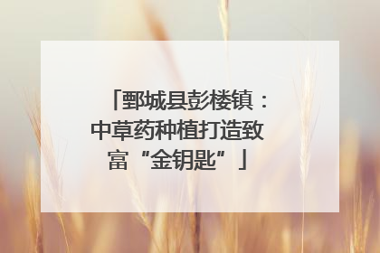 鄄城县彭楼镇：中草药种植打造致富“金钥匙”