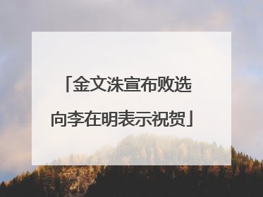 金文洙宣布败选 向李在明表示祝贺