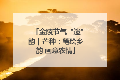 金陵节气“遗”韵｜芒种：笔绘乡韵 画意农情