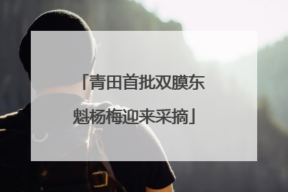 青田首批双膜东魁杨梅迎来采摘