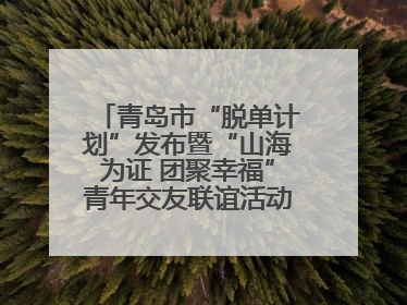 青岛市“脱单计划”发布暨“山海为证 团聚幸福”青年交友联谊活动浪漫开启
