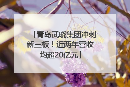 青岛武晓集团冲刺新三板！近两年营收均超20亿元