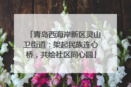青岛西海岸新区灵山卫街道：架起民族连心桥，共绘社区同心圆
