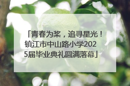 青春为桨，追寻星光！镇江市中山路小学2025届毕业典礼圆满落幕