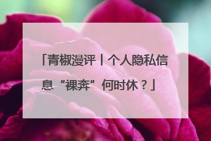 青椒漫评丨个人隐私信息“裸奔”何时休？