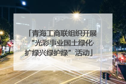 青海工商联组织开展“光彩事业国土绿化·扩绿兴绿护绿”活动