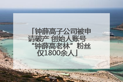 钟薛高子公司被申请破产 创始人账号“钟薛高老林”粉丝仅1800余人