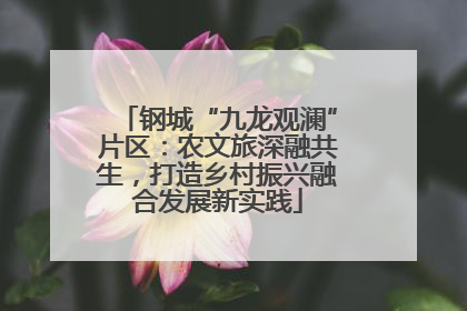 钢城“九龙观澜”片区：农文旅深融共生，打造乡村振兴融合发展新实践