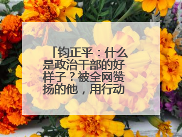 钧正平：什么是政治干部的好样子？被全网赞扬的他，用行动作出了回答