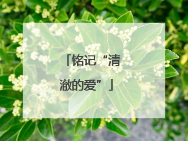 铭记“清澈的爱”