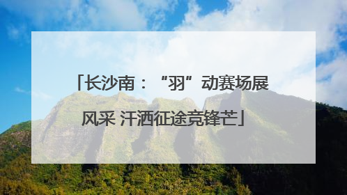 长沙南：“羽”动赛场展风采 汗洒征途竞锋芒