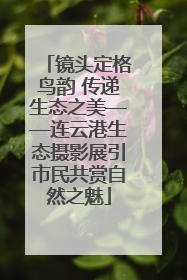 镜头定格鸟韵 传递生态之美——连云港生态摄影展引市民共赏自然之魅