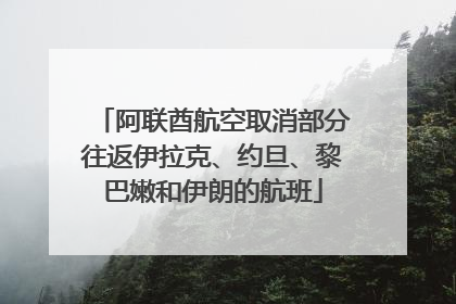 阿联酋航空取消部分往返伊拉克、约旦、黎巴嫩和伊朗的航班