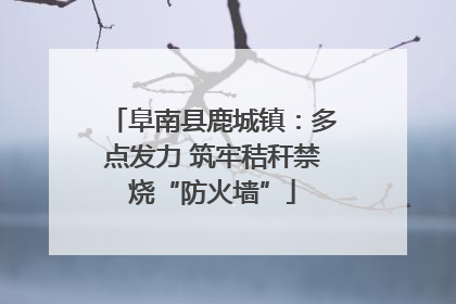 阜南县鹿城镇：多点发力 筑牢秸秆禁烧“防火墙”