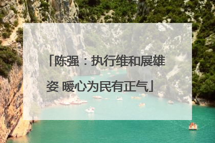 陈强：执行维和展雄姿 暖心为民有正气