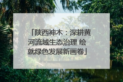 陕西神木：深耕黄河流域生态治理 绘就绿色发展新画卷
