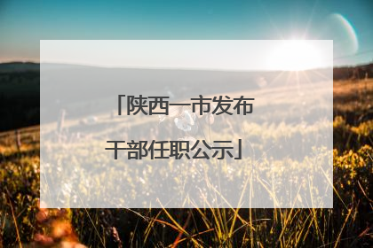 陕西一市发布干部任职公示