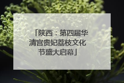 陕西：第四届华清宫贵妃荔枝文化节盛大启幕