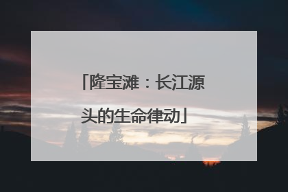 隆宝滩：长江源头的生命律动
