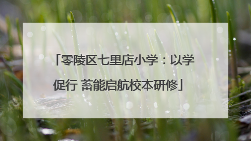 零陵区七里店小学：以学促行 蓄能启航校本研修