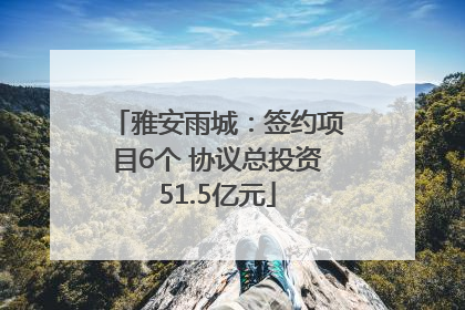 雅安雨城：签约项目6个 协议总投资51.5亿元