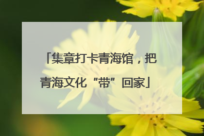 集章打卡青海馆，把青海文化“带”回家