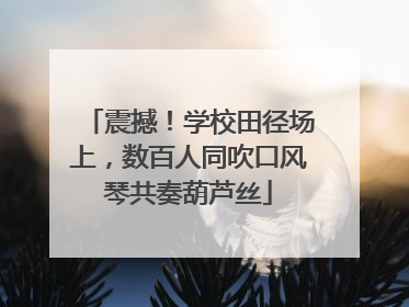 震撼！学校田径场上，数百人同吹口风琴共奏葫芦丝