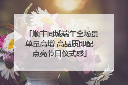 顺丰同城端午全场景单量高增 高品质即配点亮节日仪式感
