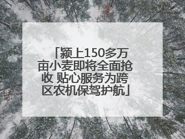 颍上150多万亩小麦即将全面抢收 贴心服务为跨区农机保驾护航