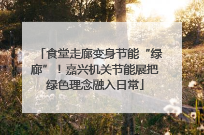 食堂走廊变身节能“绿廊”！嘉兴机关节能展把绿色理念融入日常