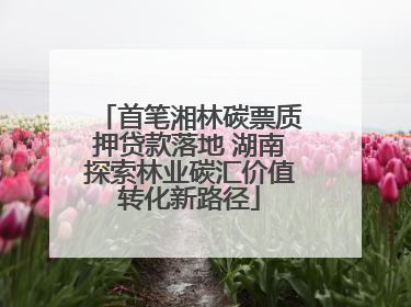 首笔湘林碳票质押贷款落地 湖南探索林业碳汇价值转化新路径