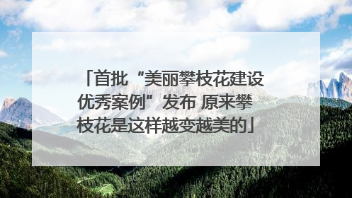 首批“美丽攀枝花建设优秀案例”发布 原来攀枝花是这样越变越美的