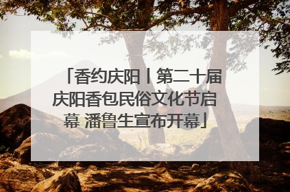 香约庆阳丨第二十届庆阳香包民俗文化节启幕 潘鲁生宣布开幕
